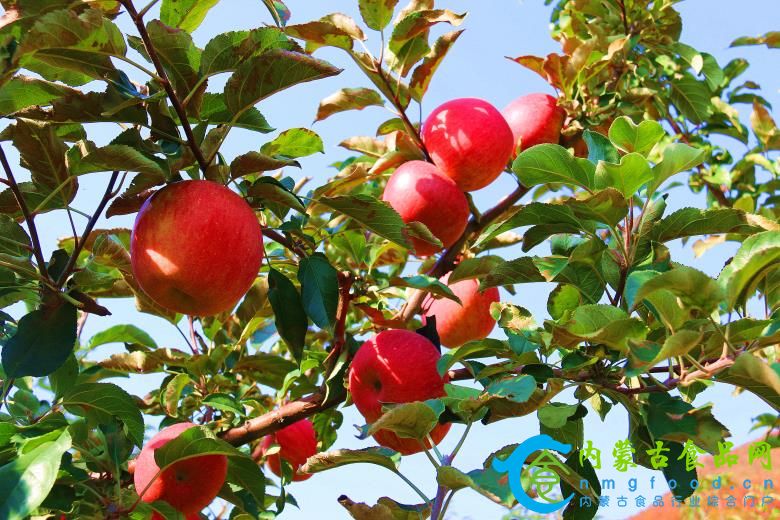 1761480561752480.jpg 微信图片_20251026195218_29_3673.jpg