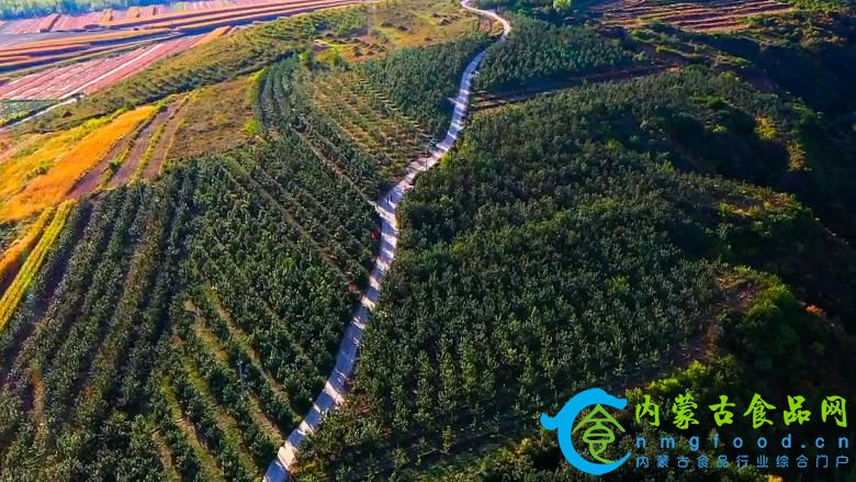 1761480574180936.jpg 微信图片_20251026193642_22_3673.jpg