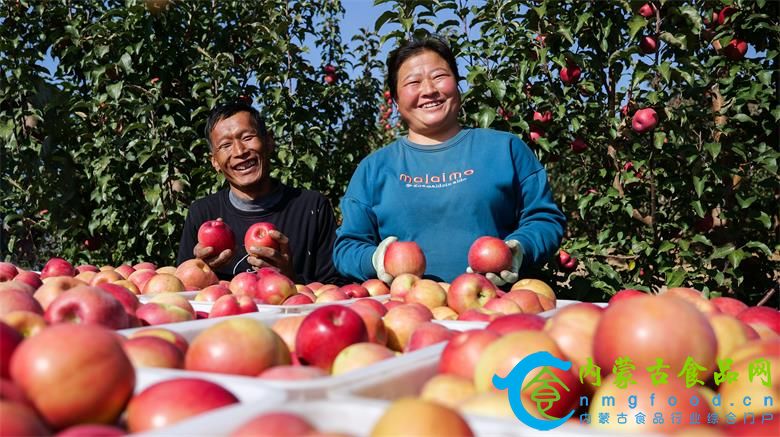 1761480597519557.jpg 微信图片_20251026193539_20_3673.jpg