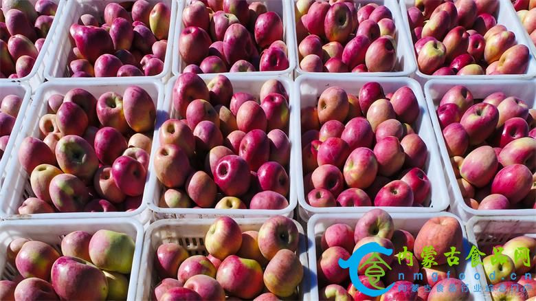 1761480609562481.jpg 微信图片_20251026193555_21_3673.jpg